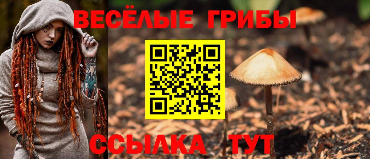 Псилоцибиновые грибы Psilocybine cubensis  Псилоцибиновые грибы мицелий  Верхняя Пышма  Вход с VPN 